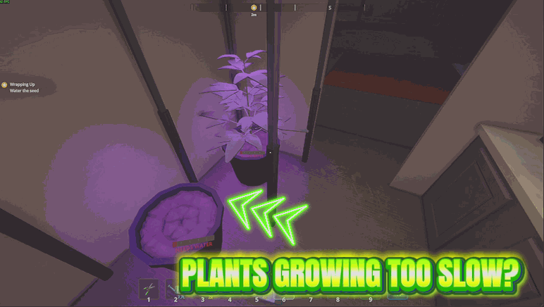 Overnight Harvest (Fast-Forward Crops)